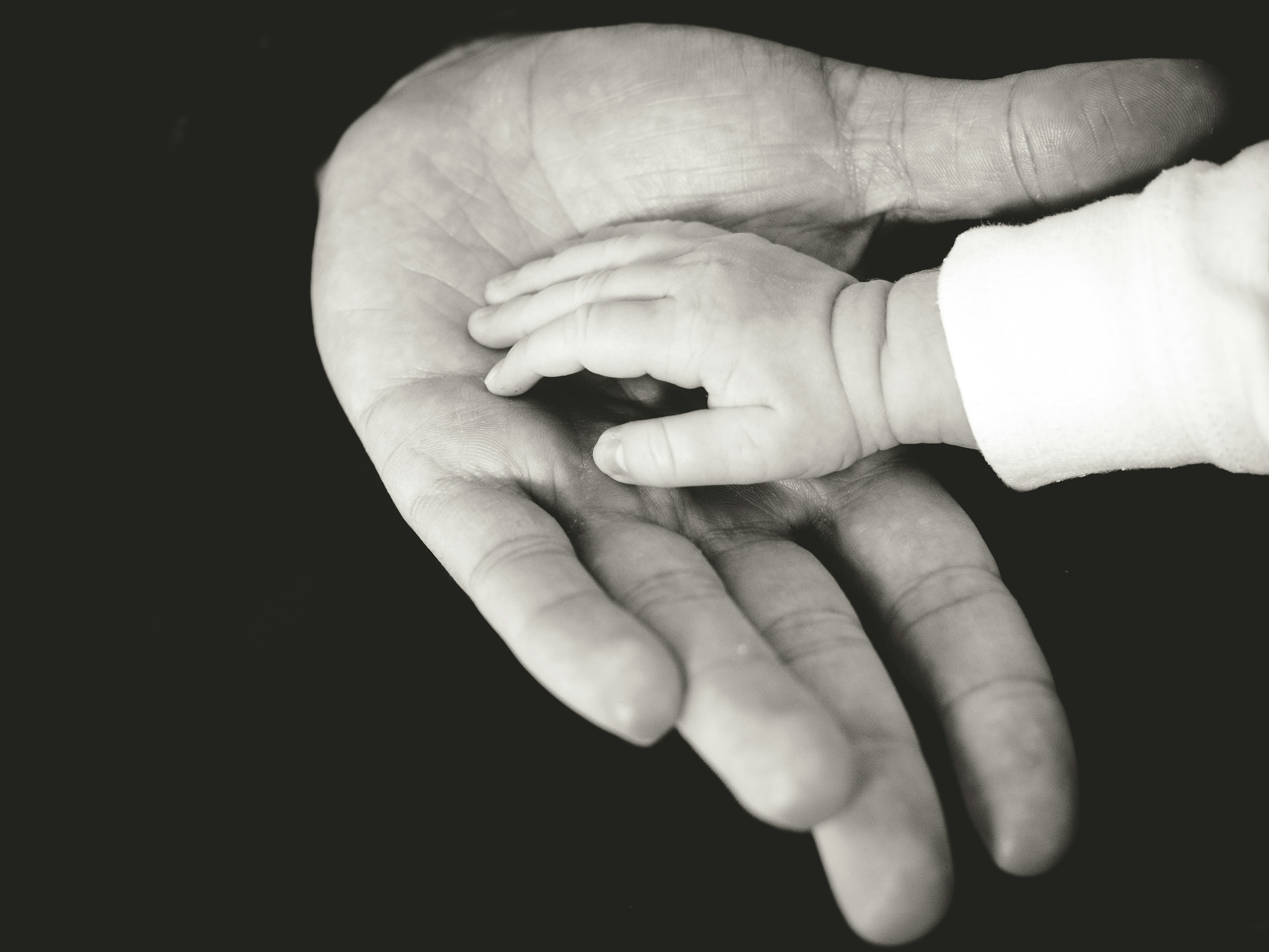 Child's hand in adult's hand